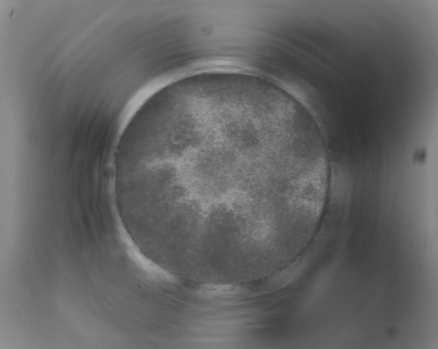 X0000113011474200910081211