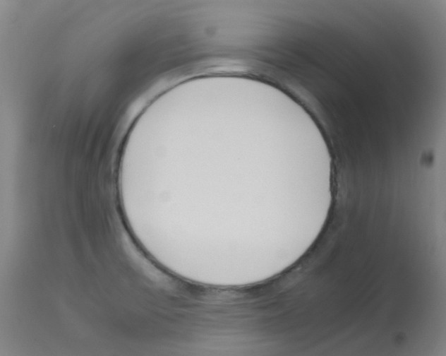 X0000113011475200910081211