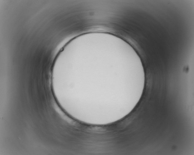 X0000113011476200910081211