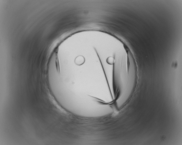 X0000113011477200910081211