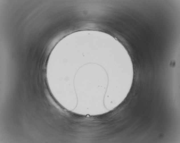 X0000113011479200910081211