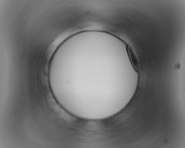X0000113011480200910081211