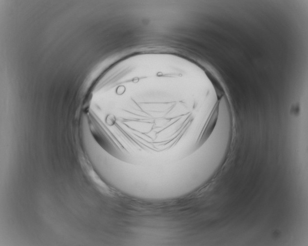 X0000113011485200910081211