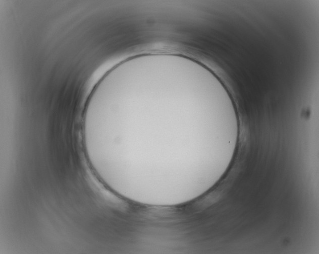 X0000113011486200910081211
