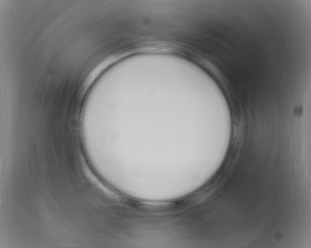 X0000113011487200910081211