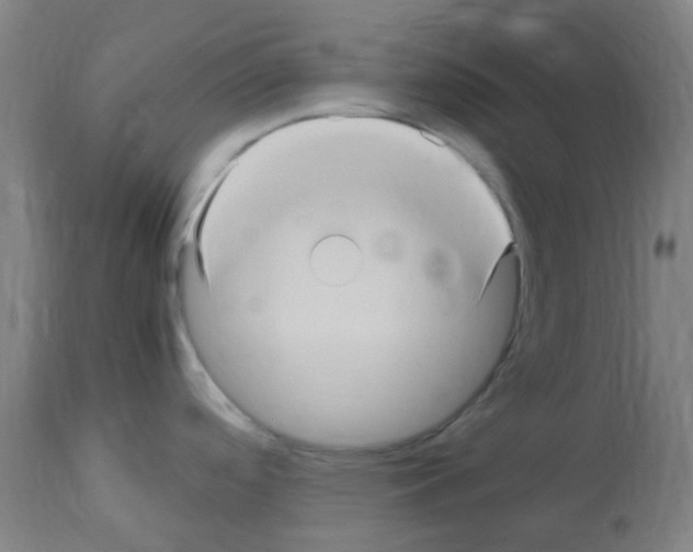 X0000113011488200910081211