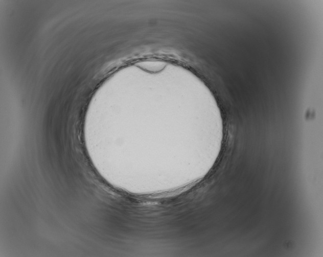 X0000113011489200910081210