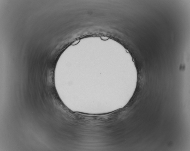 X0000113011490200910081210