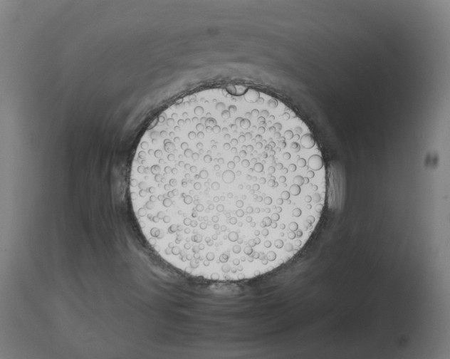 X0000113011491200910081210