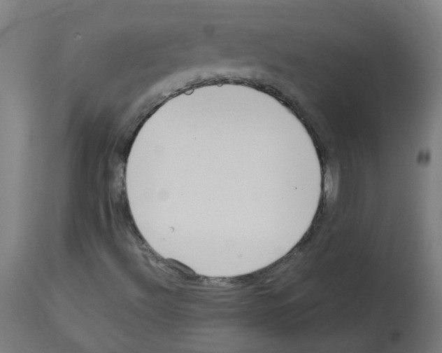 X0000113011492200910081210