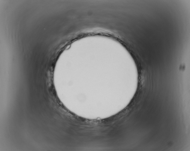 X0000113011493200910081210