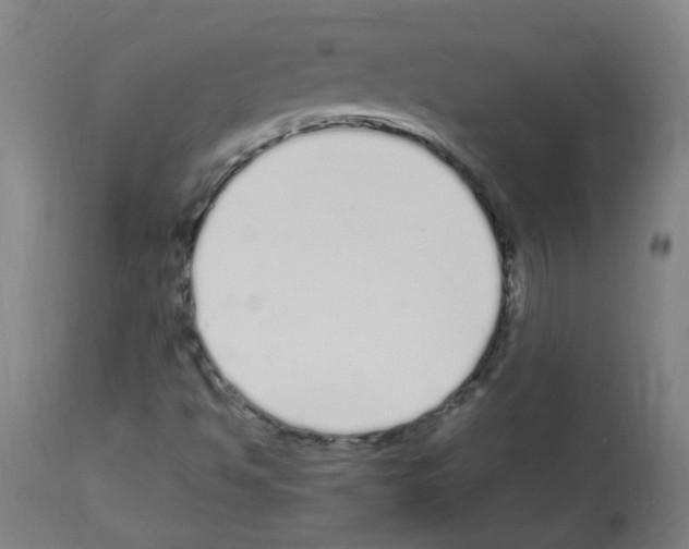X0000113011494200910081210