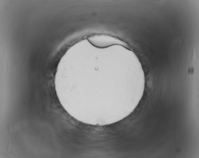 X0000113011495200910081210