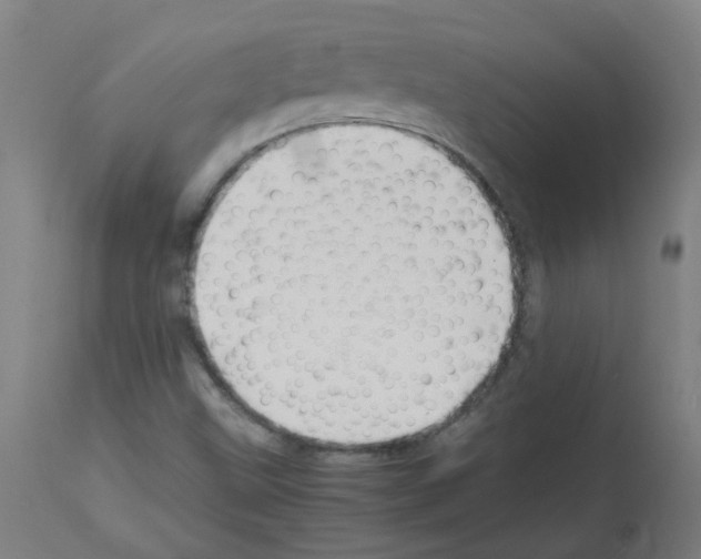 X0000113011499200910081210
