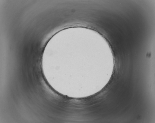 X0000113011500200910081210