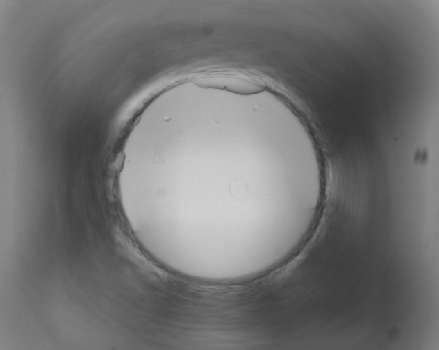 X0000113011502200910081210