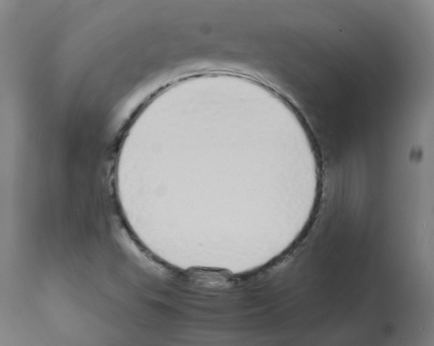 X0000113011503200910081210