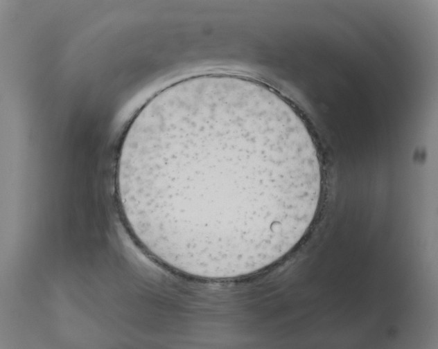 X0000113011504200910081210