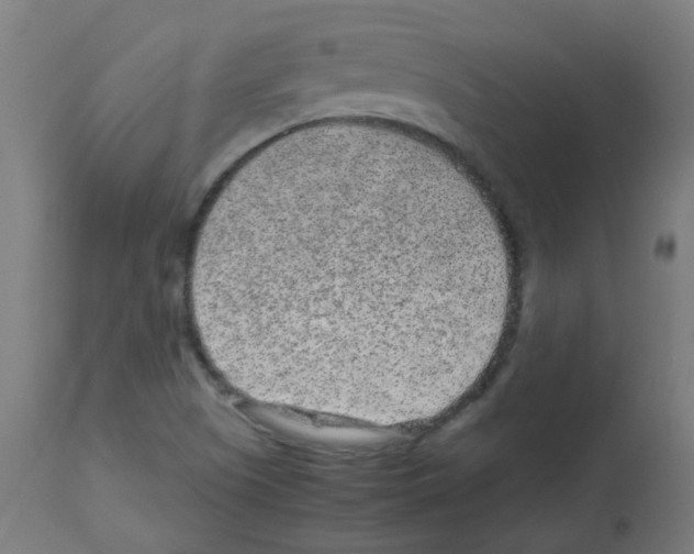 X0000113011505200910081210