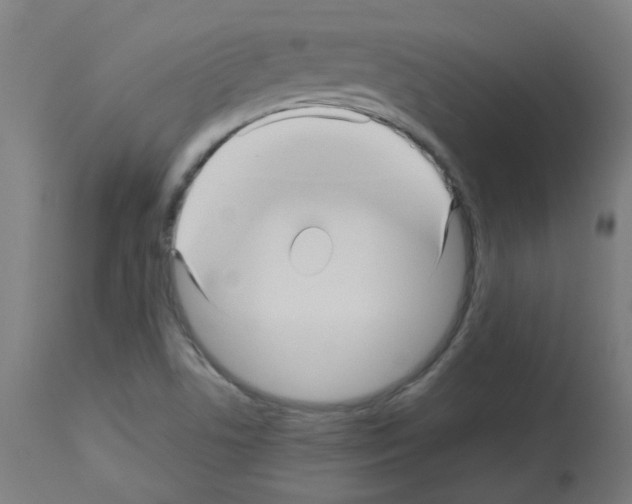 X0000113011506200910081210
