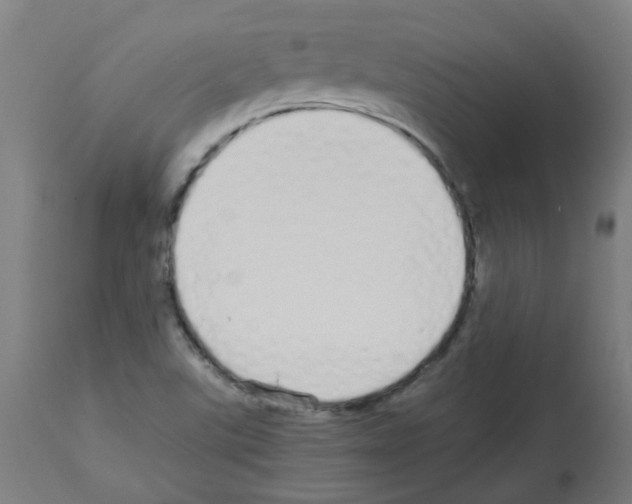 X0000113011507200910081210