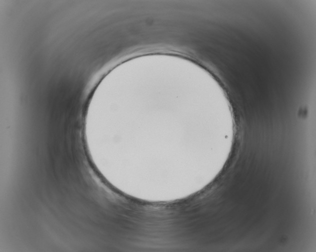 X0000113011508200910081210