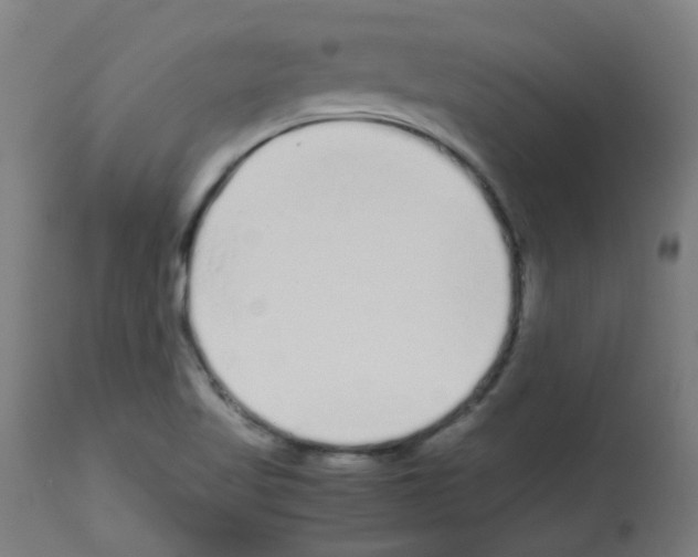 X0000113011509200910081210