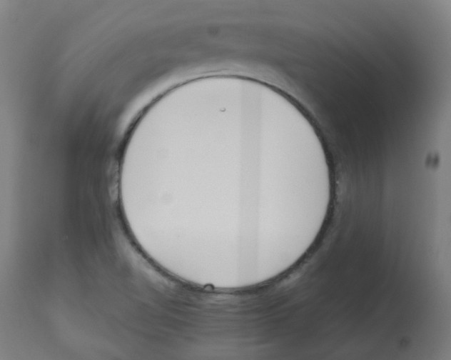 X0000113011510200910081210