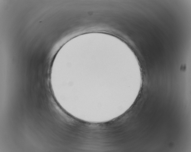 X0000113011512200910081210
