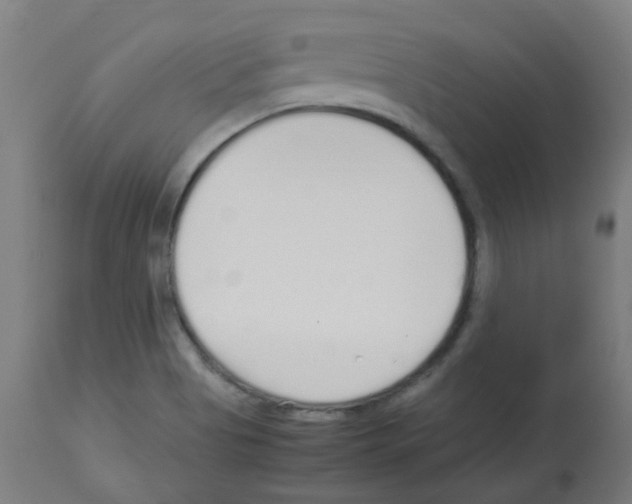 X0000113011513200910081210