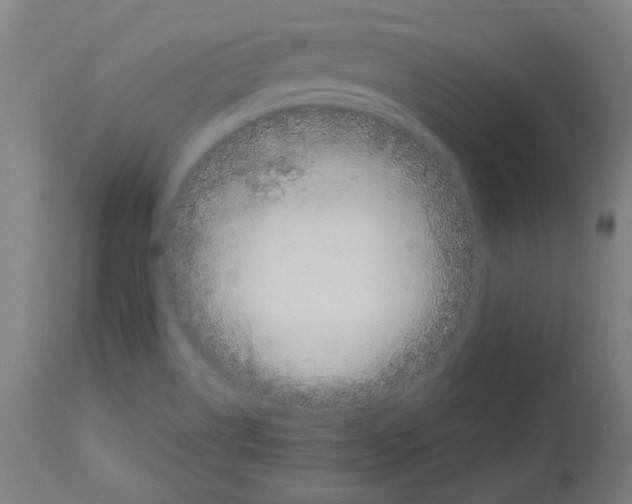 X0000113011514200910081210