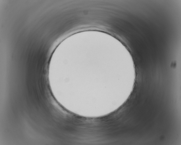 X0000113011516200910081210