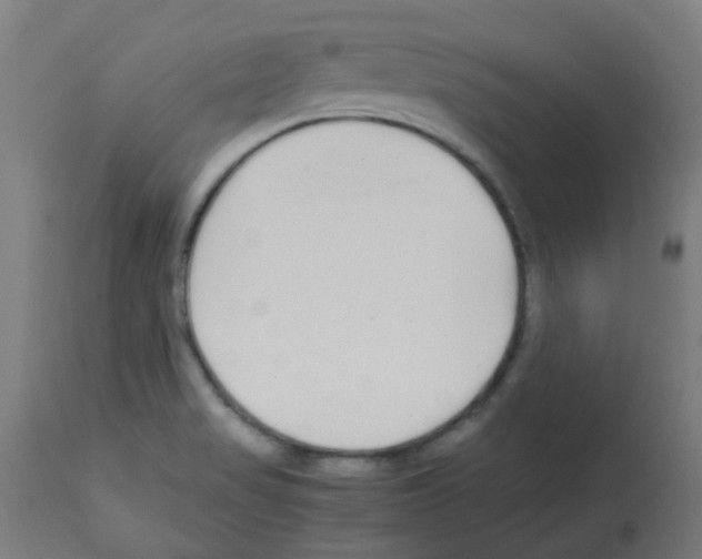 X0000113011517200910081210