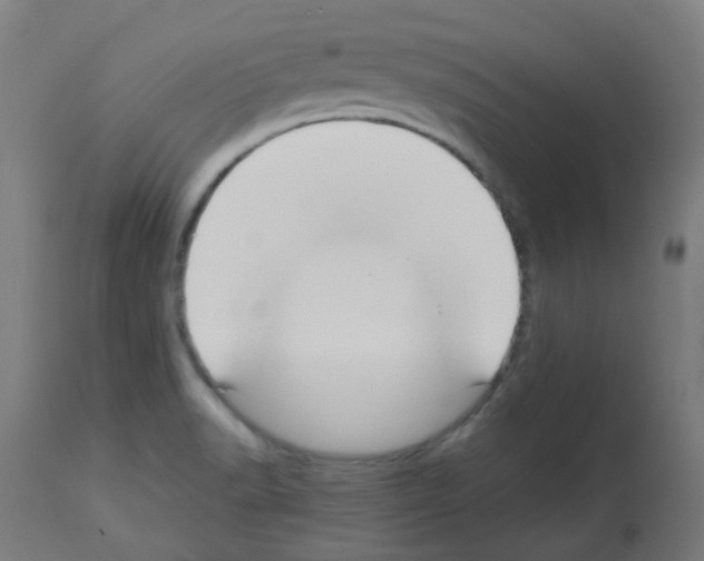 X0000113011518200910081210