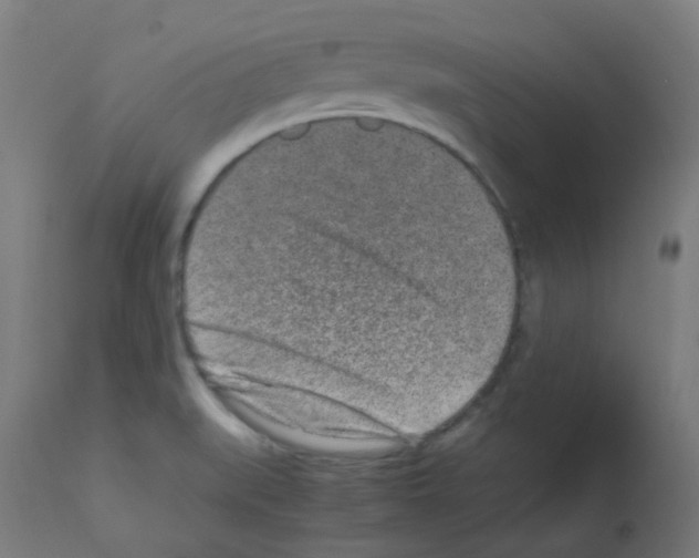X0000113011519200910081210