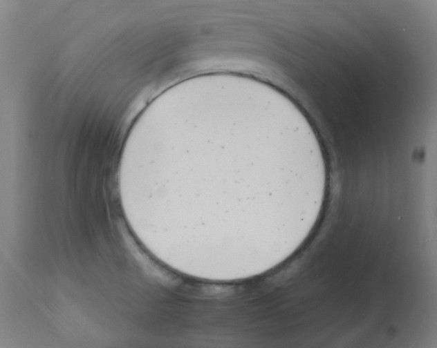 X0000113011521200910081211