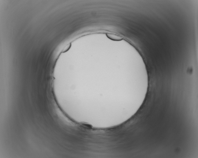 X0000113011524200910081211