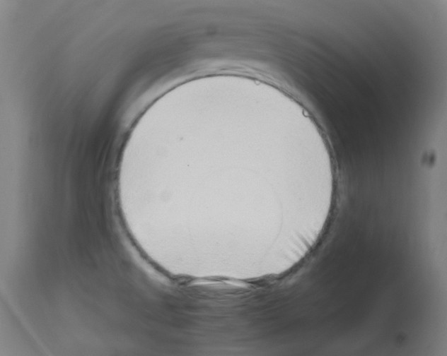 X0000113011525200910081211