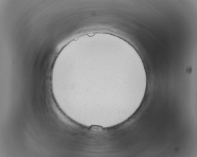 X0000113011526200910081211