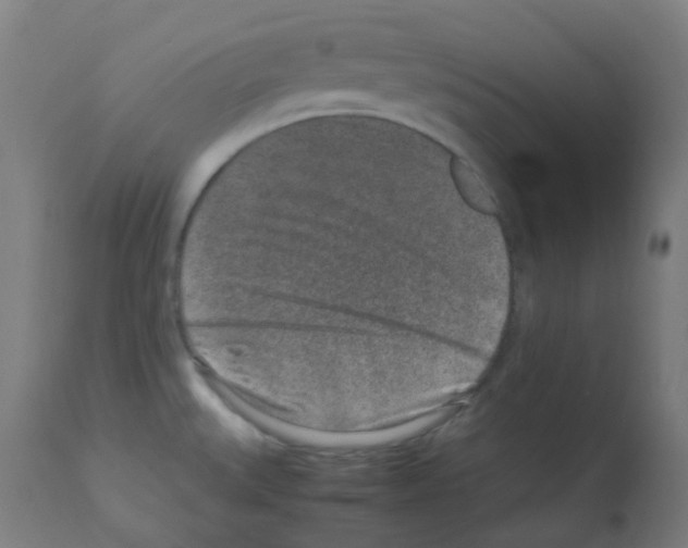 X0000113011527200910081211