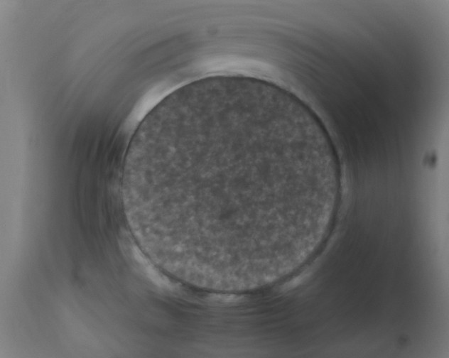 X0000113011529200910081211