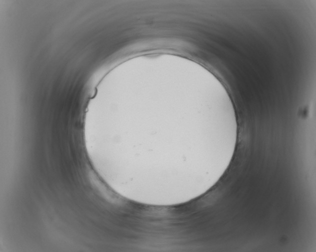 X0000113011532200910081211