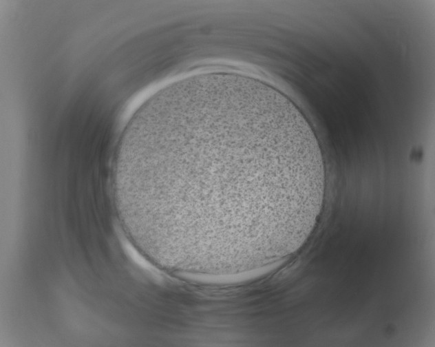 X0000113011535200910081211