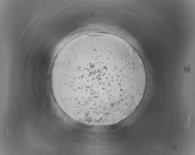 X0000113011536200910081211