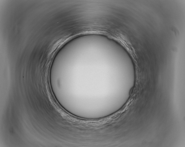 X0000113020001200908271043