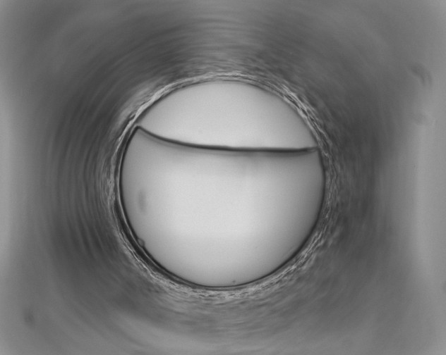 X0000113020002200908271043