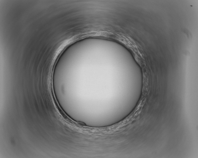 X0000113020003200908271043