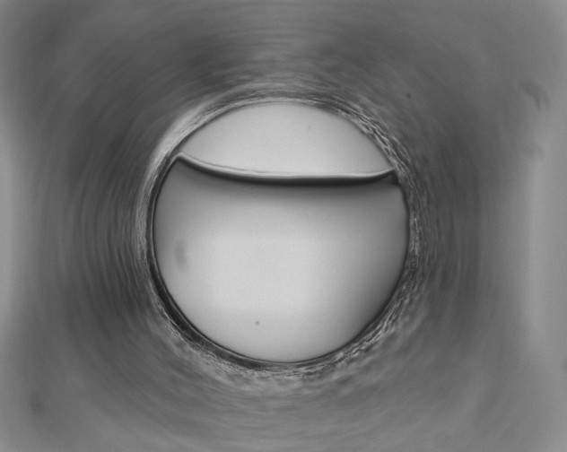X0000113020004200908271043