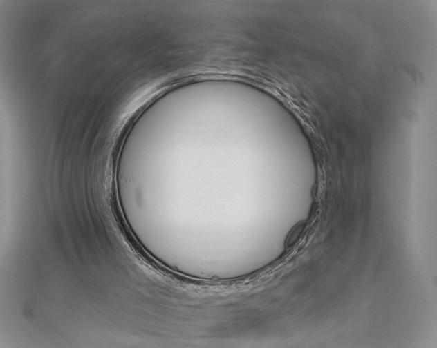 X0000113020005200908271043