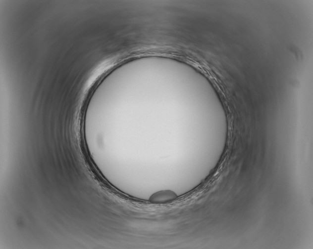 X0000113020006200908271043